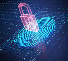Punjab will suspend biometric vehicle registration and transfers