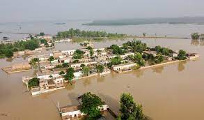 Crops across Pakistan are being devastated by monsoon floods