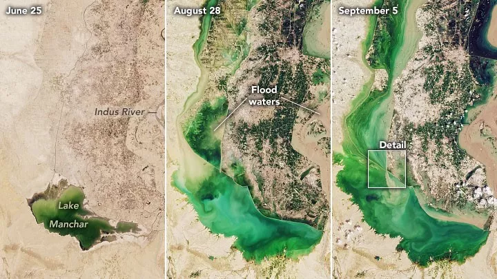 The area around Lake Manchar on July 25, Aug. 28 and Sept. 5, 2022, captured by NASA Landsat 8 and 9 satellites. (Image credit: NASA)