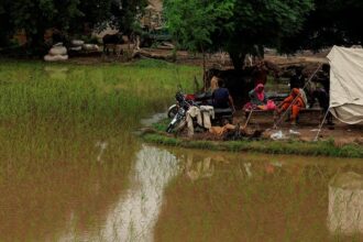 Residents sit outside a temporary tent next to flooded farmland in Patraki village, Chiniot district, Punjab, after monsoon rains caused the Chenab River to overflow, August 30, 2025.