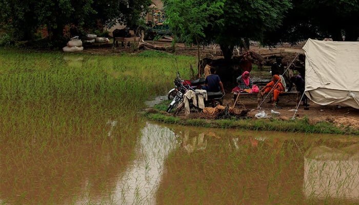Residents sit outside a temporary tent next to flooded farmland in Patraki village, Chiniot district, Punjab, after monsoon rains caused the Chenab River to overflow, August 30, 2025.